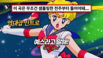 유명 플리채널 