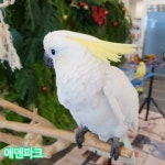 에덴파크 - YouTube 에덴파크