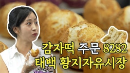 6시내고향 황지자유시장 유튜브 - 강혜연 마이너 갤러리