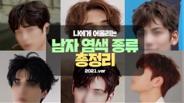 네이버 인플루언서 [네이버 인플루언서] 일산미용실 서준의 남자염색