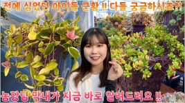 [네이버 인플루언서] 전에 심었던 아이들 근황 !! 다들 엄~청 궁금하시죠 ?! 농장팀 막내가 지금 바로 알려드립니다 !! 다들 어서들 구경오세요 !!