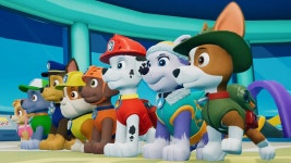 Paw Patrol: On A Roll! | 미니맵