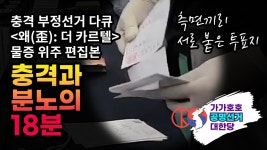 충격과 분노의 18분. 이 영상만 널리 퍼져도 가가호호당 대박남 - 가가호호공명선거대한당 마이너 갤러리