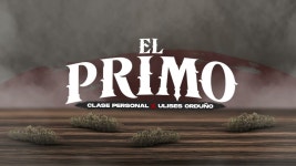 El Primo - Clase Personal & Ulises Orduño: Song Lyrics, Music Videos & Concerts
