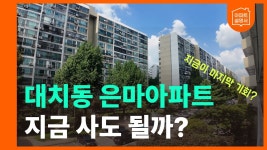 네이버 인플루언서 [네이버 인플루언서] 대치동 은마아파트, 지금 사도 될까? 31평 내부, 재건축, 학군, 교통 총정리