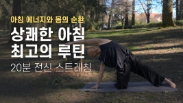 네이버 인플루언서 [네이버 인플루언서] 하루의 시작을 밝히는 아침 요가 | 20분 전신 스트레칭 | 요가소년 538