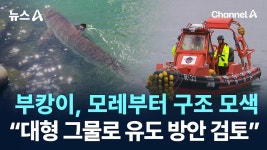 부캉이, 모레부터 구조 모색…“대형 그물로 유도 방안 검토” - 기타 국내 드라마 갤러리