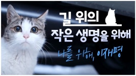 길고양이 보호 호소한 정치인 여깄다 - 야옹이 갤러리