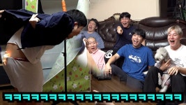 진지하개 올해 베스트 영샹 - 핫소스 마이너 갤러리 진지하개 올해 베스트 영샹  - 핫소스 마이너 갤러리