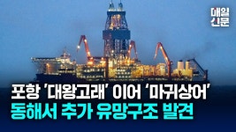 포항 대왕고래 이어 마귀상어...추가 유망구조 발견 - YouTube 포항 대왕고래 이어 마귀상어...추가 유망구조 발견