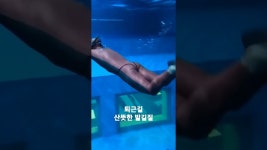 플러시안 태강 - YouTube