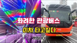 대원고속 EX 우등 신차 - 교통 마이너 갤러리