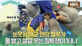 꾜미 - 아시아엔터 마이너 갤러리