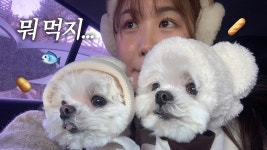 네이버 인플루언서 [네이버 인플루언서] 강릉여행인데 먹방을 곁들인.. | 애견동반 맛집까쥐😋