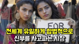 불가리아에 신부시장 있대 - 미국 주식 마이너 갤러리