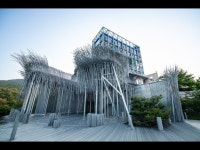 하슬라로 불렸던 강릉에 톡쏘는 아트월드가 들어섰다 | 한국경제 하슬라로 불렸던 강릉에 톡쏘는 아트월드가 들어섰다