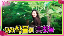 유튜브에 관엽 잔뜩 나왔어 - 식물 갤러리