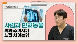 네이버 인플루언서 [네이버 인플루언서] 외과 수의사가 생각하는 사람과 반려동물 차이[우리동네수의사]