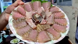 홍어먹방 도전해보기로 했다 - 미스터리 갤러리 홍어먹방 도전해보기로 했다  - 미스터리 갤러리