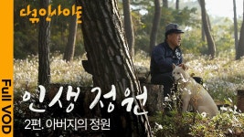 이홍훈 대법관 길고양이 11마리나 길렀었네 - 야옹이 갤러리