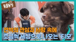 오늘 동물농장 영상들 - 유연석 갤러리