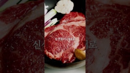 네이버 인플루언서 [네이버 인플루언서] [🔴 공구오픈] 우리의식탁x토곡정 ‘우리의 정육점’ 1+한우 골라담기 🐂]