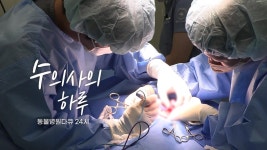 네이버 인플루언서 [네이버 인플루언서] 동물병원다큐 24시 - 수의사의 하루 #24시동물병원 #동물다큐 #수의사