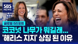 찰찰이 SBS 뉴스 입갤 - 빌보드 마이너 갤러리