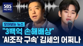300억 손해배상 AI조작 구속 김세의 - 중도정치 마이너 갤러리