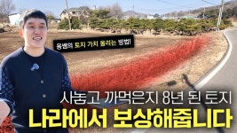 네이버 인플루언서 [네이버 인플루언서] 까먹고 있던 작은 토지인데, 얼마 보상 받을 수 있을까요?