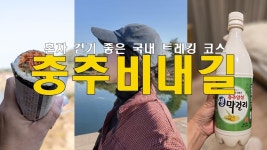네이버 인플루언서 [네이버 인플루언서] 충주 숨겨진 가을 단풍 명소 비내길 1코스/비내섬/앙성탄산온천🍁
