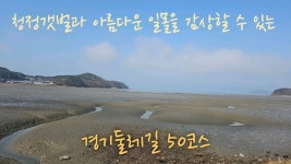 네이버 인플루언서 [네이버 인플루언서] [4K] 경기둘레길 50코스 청정갯벌과 아름다운 일몰을 감상할 수 있는 코스