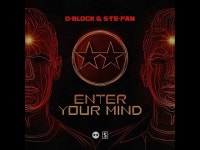 Enter Your Mind (Original Mix) - D-Block & S-te-Fan | Shazam