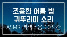지금 귀에서 계속 귀뚜라미소리 나는거같애 - 에스파 리얼리티 마이너 갤러리