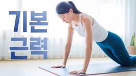 네이버 인플루언서 [네이버 인플루언서] 하루 한 번! 꼭 해야하는 10분 기본 전신근력 운동 홈트👑 (2024)