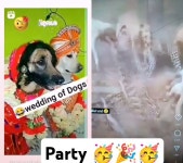 Suraj-s0264 - YouTube Suraj-s0264
