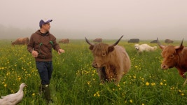 #farminglifevideo - YouTube