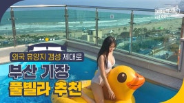 네이버 인플루언서 [네이버 인플루언서] 여행능력자들의 부산기장풀빌라