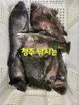 청주락실내바다낚시터 - YouTube 청주락실내바다낚시터