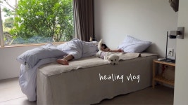 네이버 인플루언서 [네이버 인플루언서] 오랜만에 돌아온 몬도 가족 브이로그 (임신, 힐링여행, 만삭여행, 제주숙소, 림의집)