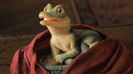 오늘 라일라일 크로커다일 보구왔섭 - 소확행 미니 갤러리