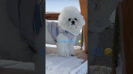 김빵아 - YouTube