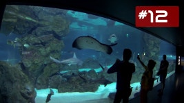 COEX Aquarium (코엑스 아쿠아리움) & Lotte World (롯데월드)... | Doovi COEX Aquarium (코엑스 아쿠아리움) & Lotte World... 