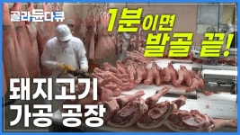 저한테 잡아먹히실분 - 점퍼 갤러리