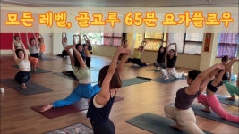 네이버 인플루언서 [네이버 인플루언서] [서리요가#567] 안팎으로 골고루 열어내는 65분 풀시퀀스 요가 / 하타요가, 전신요가