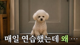 네이버 인플루언서 [네이버 인플루언서] 분리불안 교육, 열심히 할수록 더 어려워지는 이유