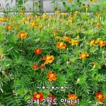 영통색소폰교실{영아름김봉환} - YouTube