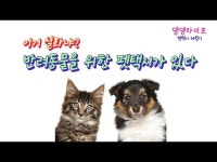 2년 만에 1만건 비싸도 타는 펫택시…박나라 펫미업 대표 | 한국경제 2년 만에 1만건 비싸도 타는 펫택시…박나라 펫미업 대표[펫人]