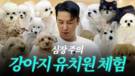 장하다 장민호 EP.09 | 애견 유치원 호텔 체험 - 장민호 마이너 갤러리