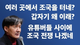 조국이 반명인 증거가 계속해서 나오고 있음 - 이재명 마이너 갤러리